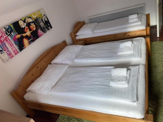 Hotel Wildschuetz Basic Altmünster 외부 사진